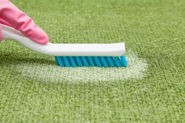 How To Clean Wool Carpets - CleanerCleaner